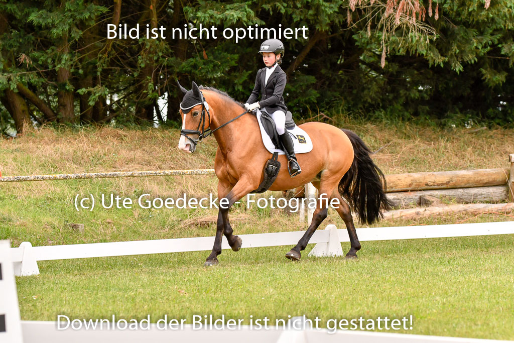 Goldene Schärpe Ponys in Hohenberg Krusemark 2024 | 12072024 Dressur _0796 