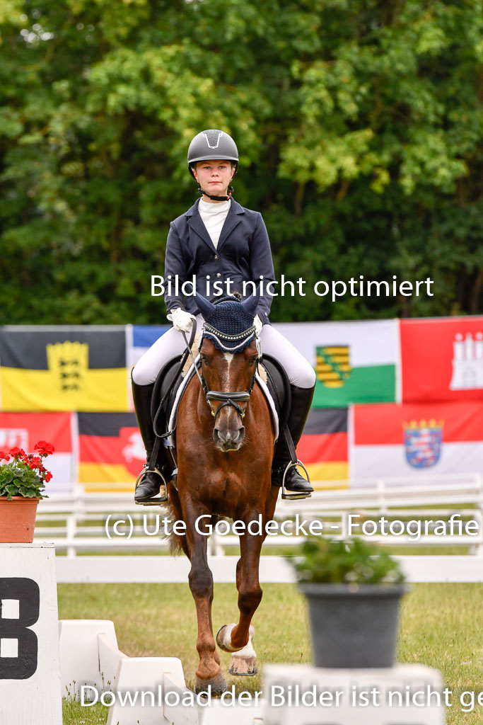 Goldene Schärpe Ponys in Hohenberg Krusemark 2024 | 12072024 Dressur _0797 