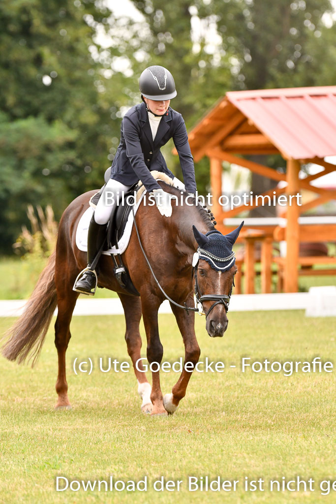 Goldene Schärpe Ponys in Hohenberg Krusemark 2024 | 12072024 Dressur _0801 