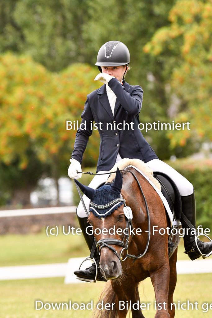 Goldene Schärpe Ponys in Hohenberg Krusemark 2024 | 12072024 Dressur _0802 