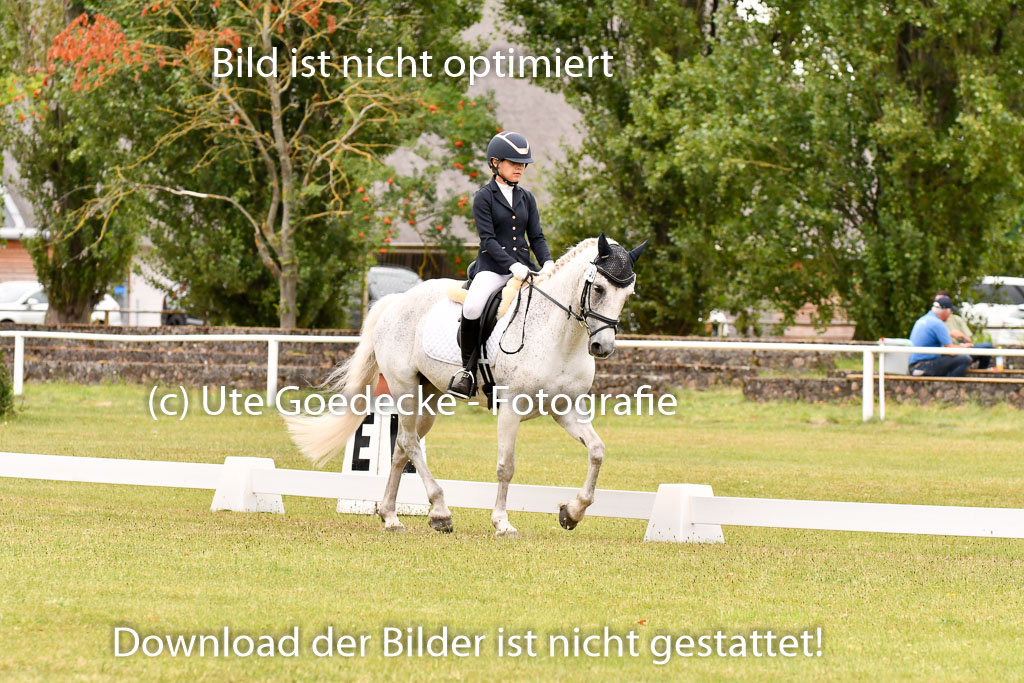 Goldene Schärpe Ponys in Hohenberg Krusemark 2024 | 12072024 Dressur _0804 