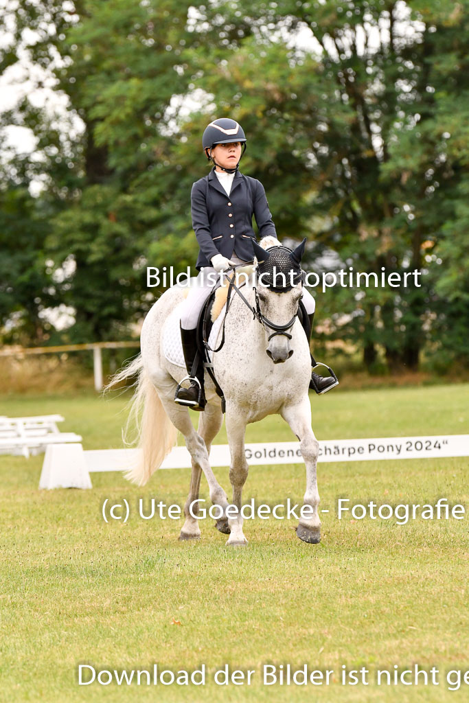 Goldene Schärpe Ponys in Hohenberg Krusemark 2024 | 12072024 Dressur _0806 