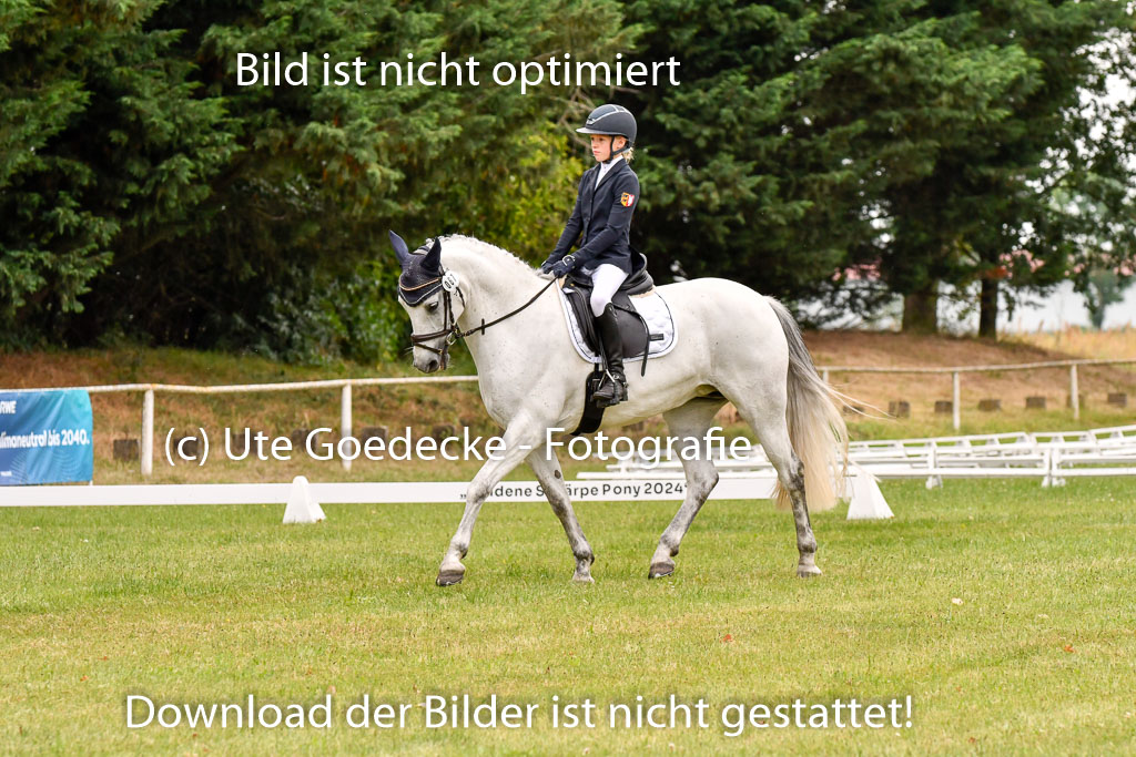 Goldene Schärpe Ponys in Hohenberg Krusemark 2024 | 12072024 Dressur _0810
