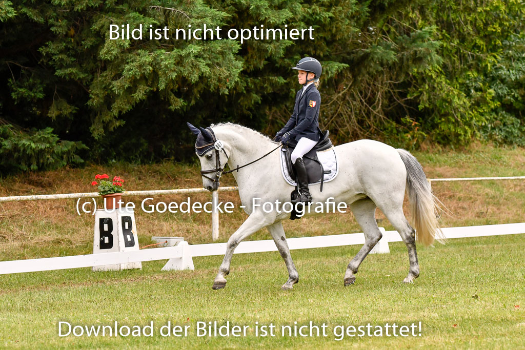 Goldene Schärpe Ponys in Hohenberg Krusemark 2024 | 12072024 Dressur _0811 