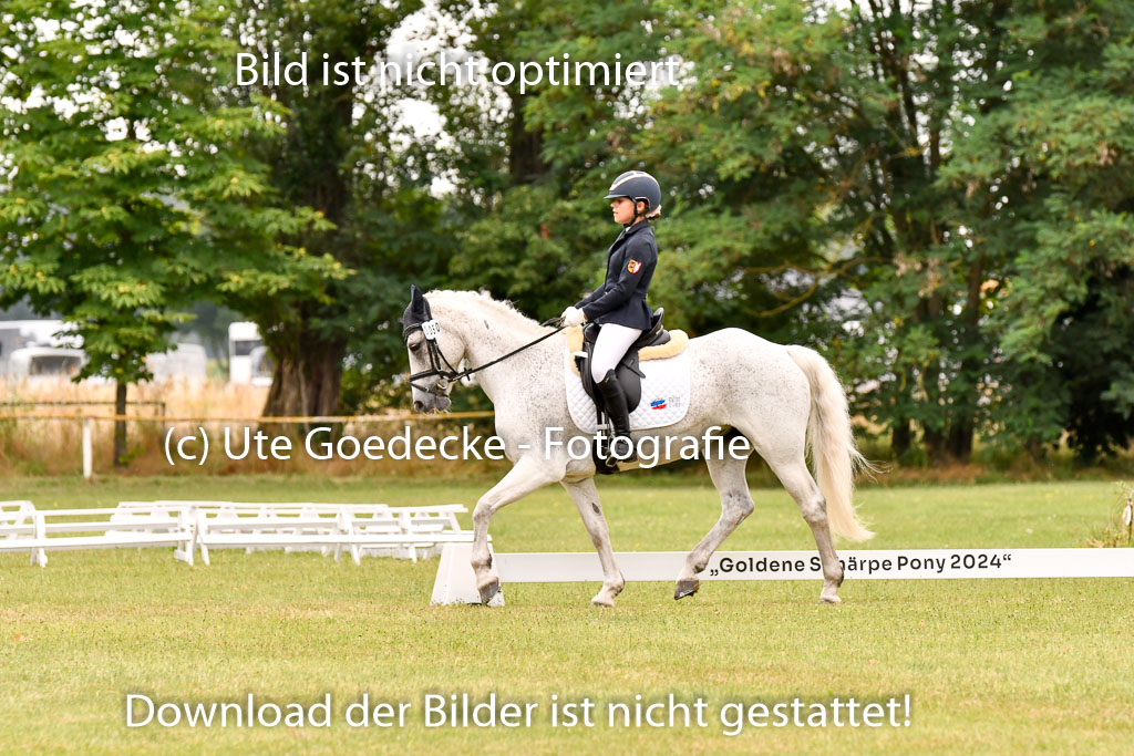 Goldene Schärpe Ponys in Hohenberg Krusemark 2024 | 12072024 Dressur _0812 