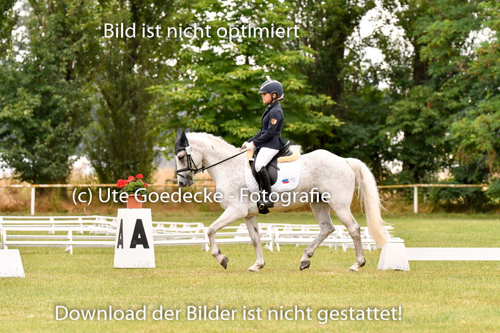 Goldene Schärpe Ponys in Hohenberg Krusemark 2024 | 12072024 Dressur _0813 