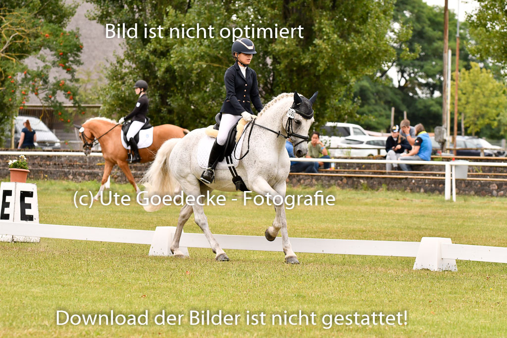 Goldene Schärpe Ponys in Hohenberg Krusemark 2024 | 12072024 Dressur _0820 