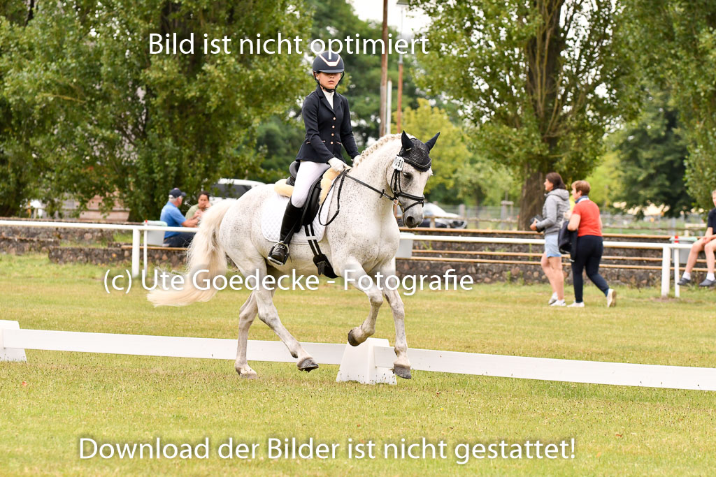 Goldene Schärpe Ponys in Hohenberg Krusemark 2024 | 12072024 Dressur _0821 