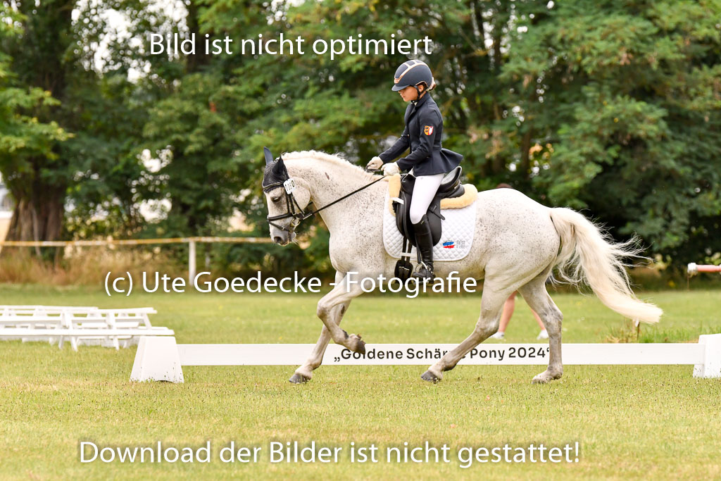 Goldene Schärpe Ponys in Hohenberg Krusemark 2024 | 12072024 Dressur _0822 