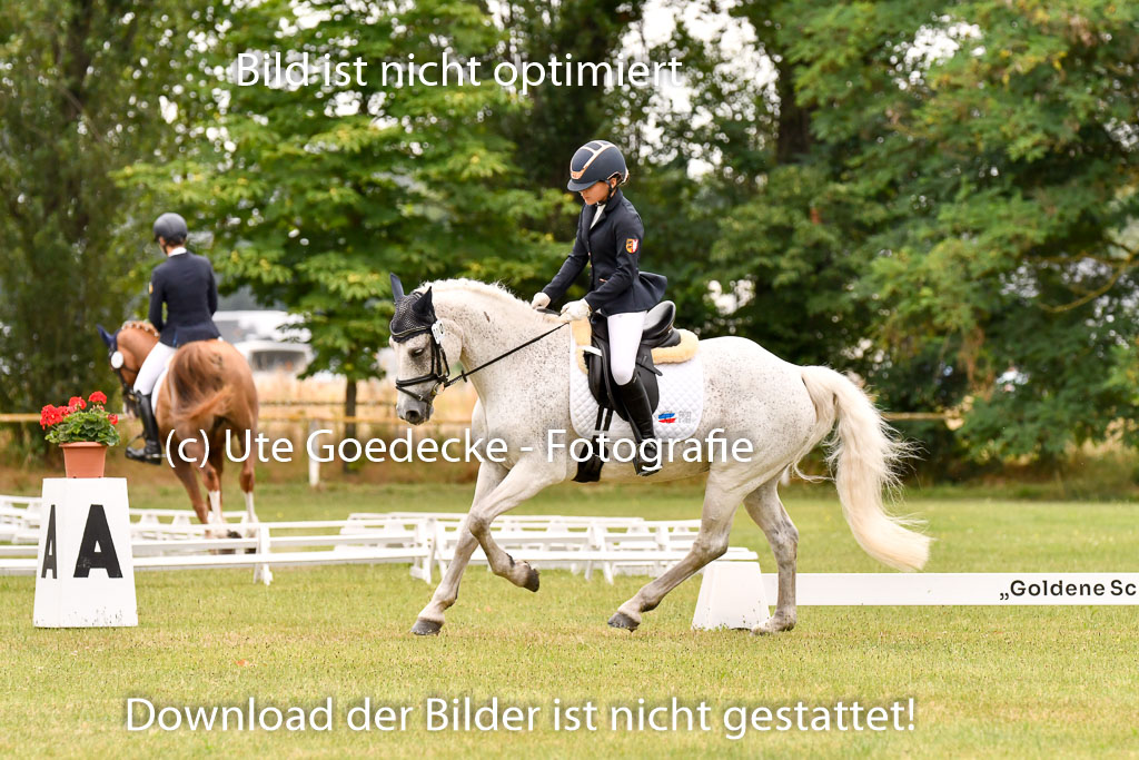 Goldene Schärpe Ponys in Hohenberg Krusemark 2024 | 12072024 Dressur _0823 