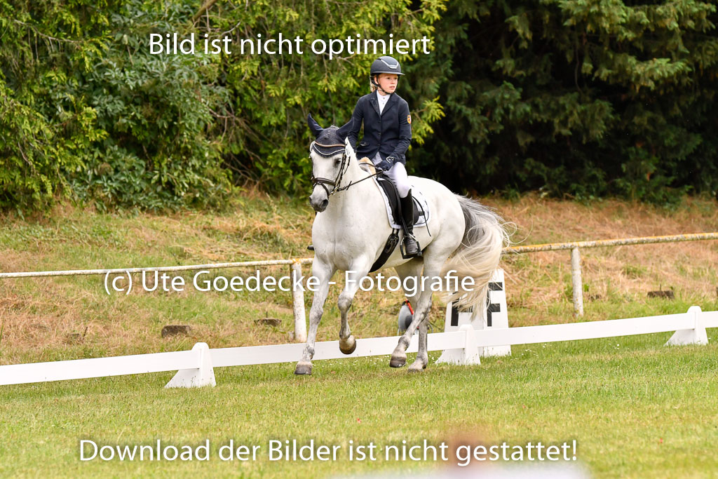 Goldene Schärpe Ponys in Hohenberg Krusemark 2024 | 12072024 Dressur _0825 