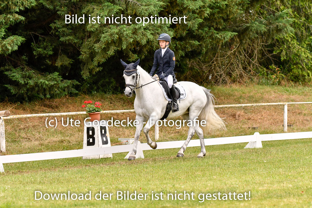 Goldene Schärpe Ponys in Hohenberg Krusemark 2024 | 12072024 Dressur _0827 