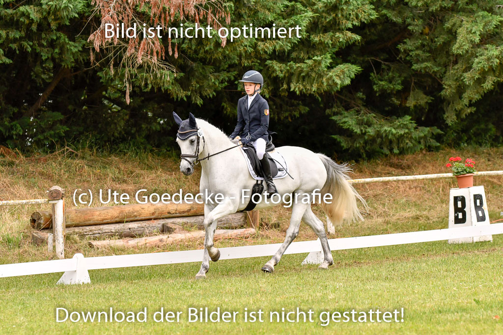 Goldene Schärpe Ponys in Hohenberg Krusemark 2024 | 12072024 Dressur _0829 