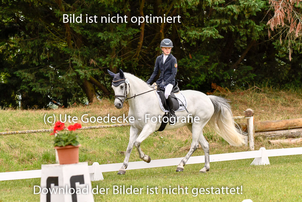 Goldene Schärpe Ponys in Hohenberg Krusemark 2024 | 12072024 Dressur _0830 