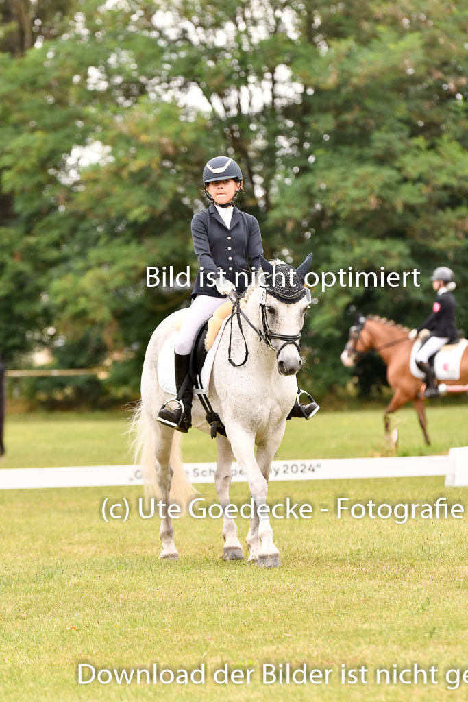 Goldene Schärpe Ponys in Hohenberg Krusemark 2024 | 12072024 Dressur _0831 