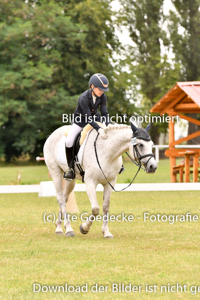 Goldene Schärpe Ponys in Hohenberg Krusemark 2024 | 12072024 Dressur _0832 