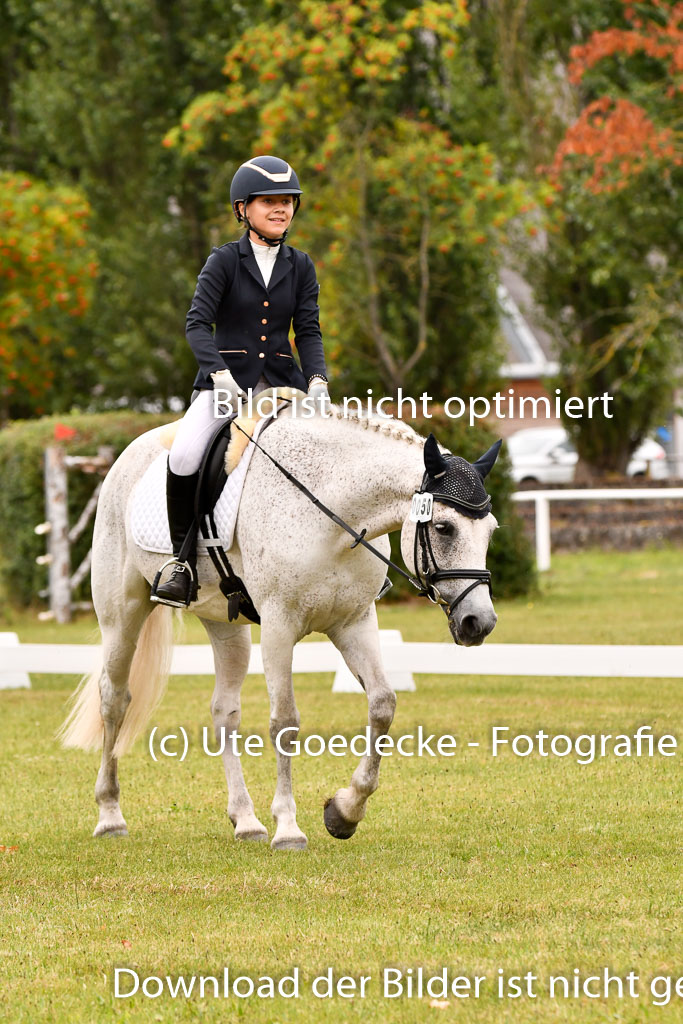 Goldene Schärpe Ponys in Hohenberg Krusemark 2024 | 12072024 Dressur _0833 