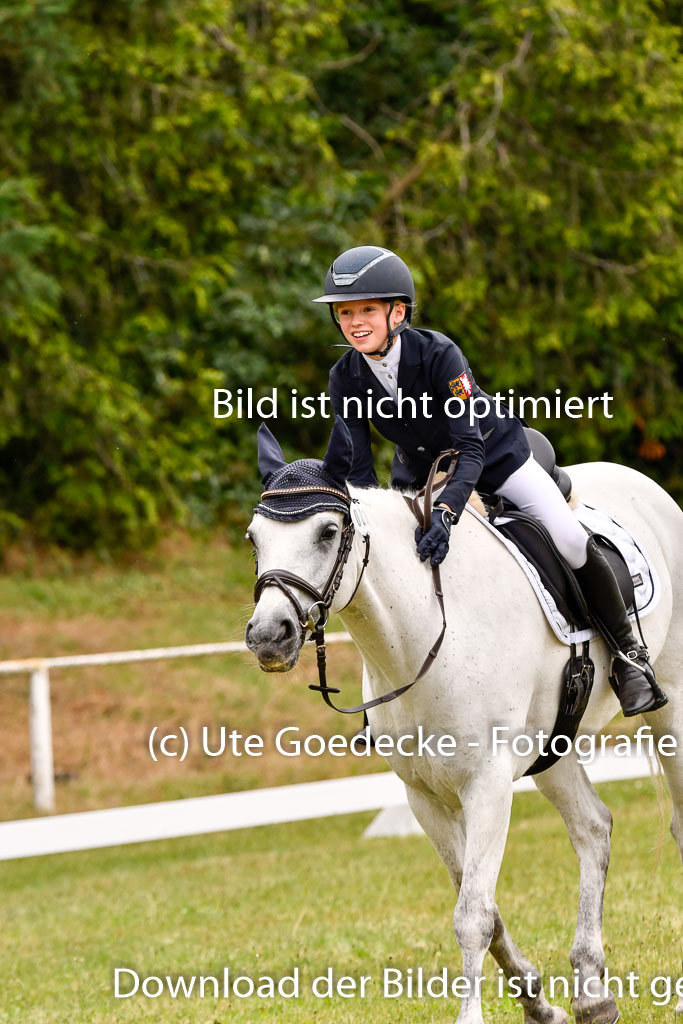 Goldene Schärpe Ponys in Hohenberg Krusemark 2024 | 12072024 Dressur _0837 