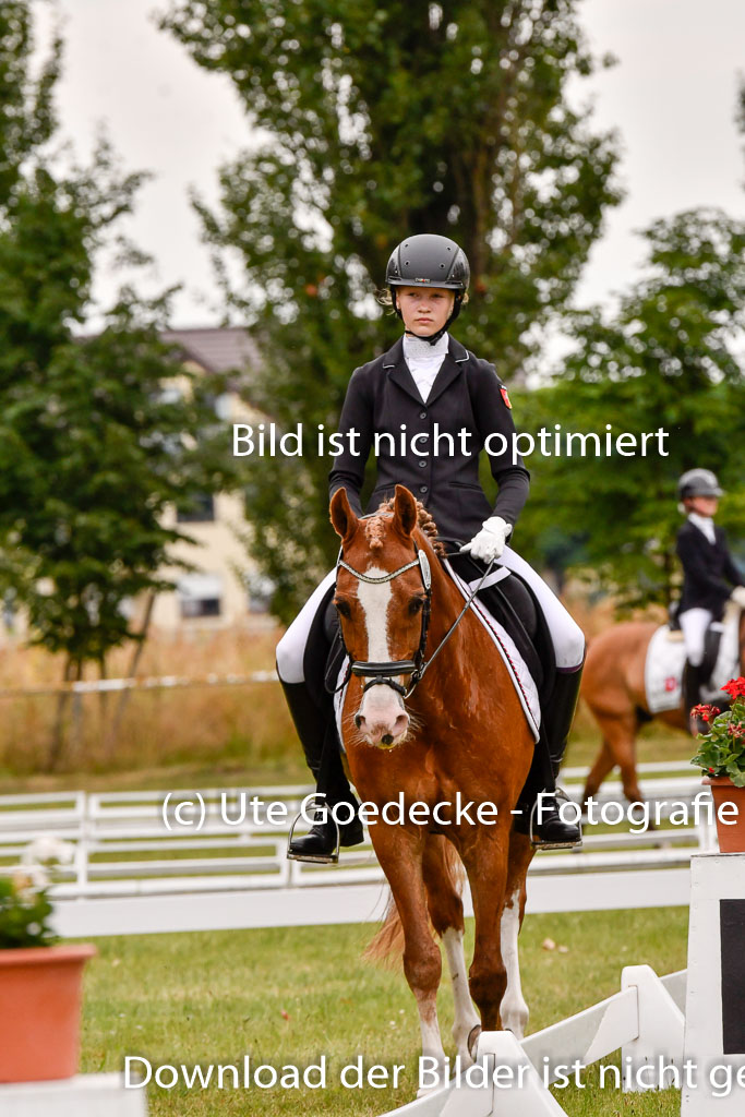 Goldene Schärpe Ponys in Hohenberg Krusemark 2024 | 12072024 Dressur _0843 