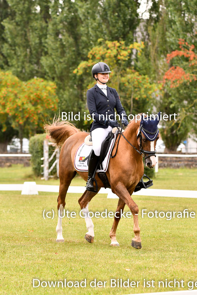 Goldene Schärpe Ponys in Hohenberg Krusemark 2024 | 12072024 Dressur _0845 