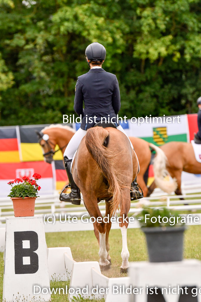 Goldene Schärpe Ponys in Hohenberg Krusemark 2024 | 12072024 Dressur _0846 