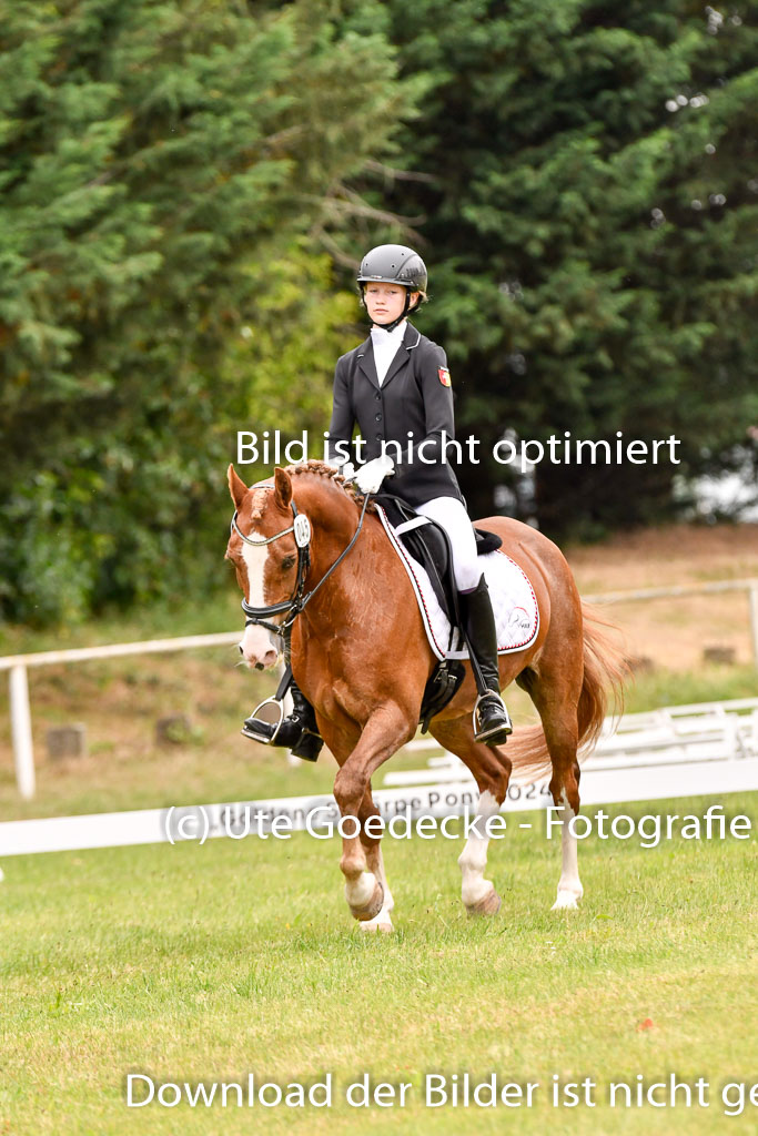 Goldene Schärpe Ponys in Hohenberg Krusemark 2024 | 12072024 Dressur _0847 