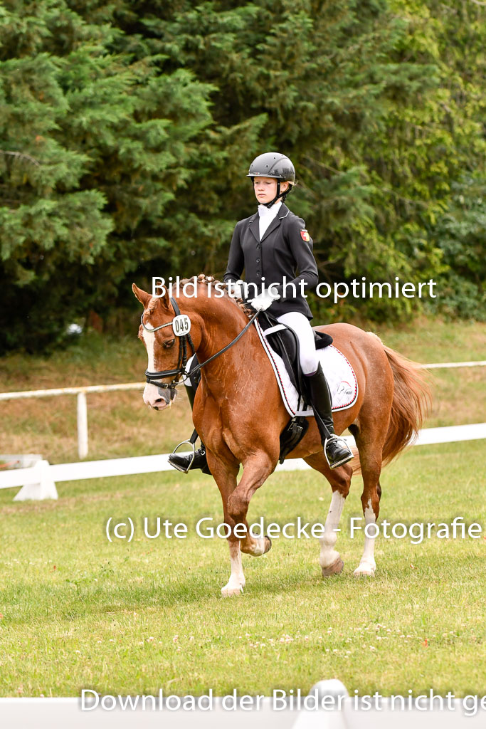 Goldene Schärpe Ponys in Hohenberg Krusemark 2024 | 12072024 Dressur _0850 