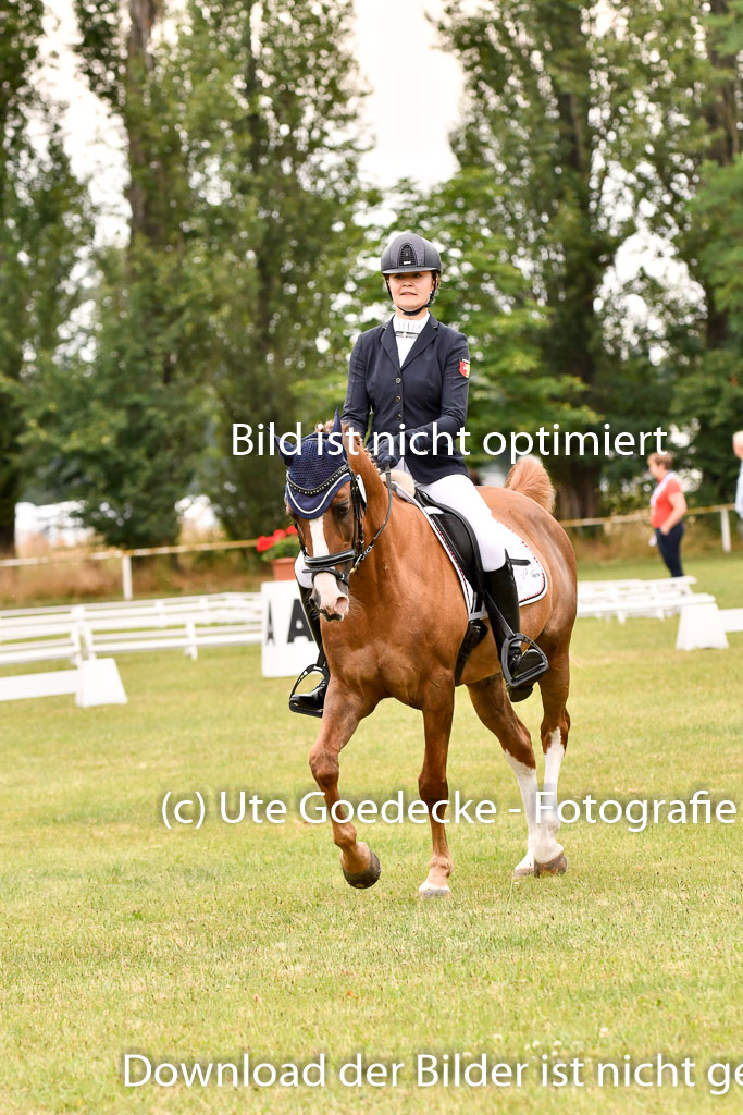 Goldene Schärpe Ponys in Hohenberg Krusemark 2024 | 12072024 Dressur _0851