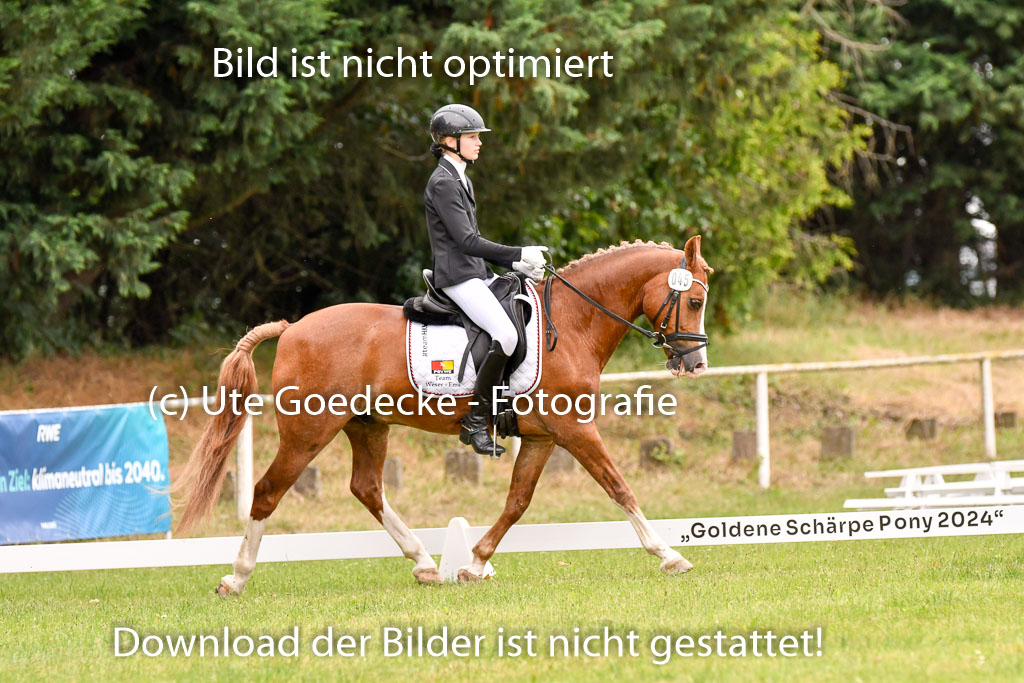 Goldene Schärpe Ponys in Hohenberg Krusemark 2024 | 12072024 Dressur _0852 