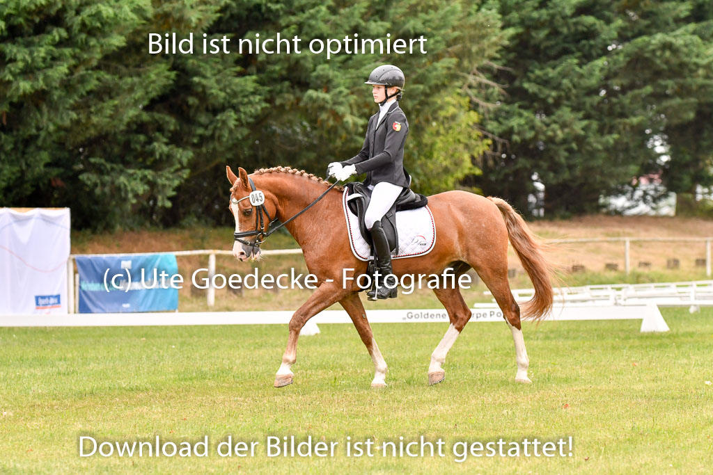 Goldene Schärpe Ponys in Hohenberg Krusemark 2024 | 12072024 Dressur _0854 