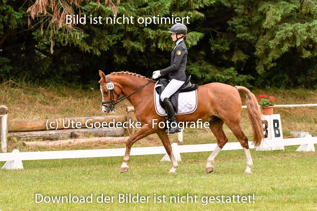 Goldene Schärpe Ponys in Hohenberg Krusemark 2024 | 12072024 Dressur _0856 