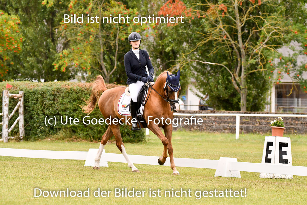 Goldene Schärpe Ponys in Hohenberg Krusemark 2024 | 12072024 Dressur _0858 