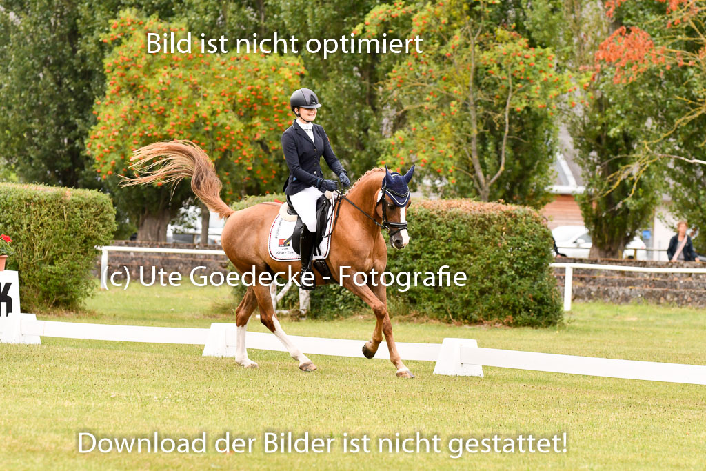 Goldene Schärpe Ponys in Hohenberg Krusemark 2024 | 12072024 Dressur _0859 