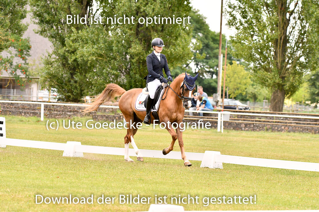 Goldene Schärpe Ponys in Hohenberg Krusemark 2024 | 12072024 Dressur _0860 