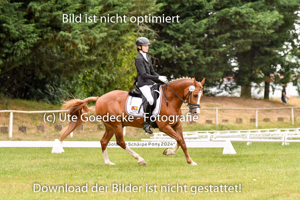 Goldene Schärpe Ponys in Hohenberg Krusemark 2024 | 12072024 Dressur _0862 