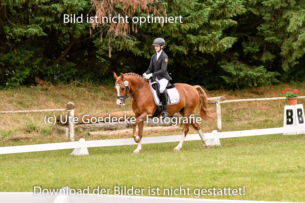 Goldene Schärpe Ponys in Hohenberg Krusemark 2024 | 12072024 Dressur _0866 