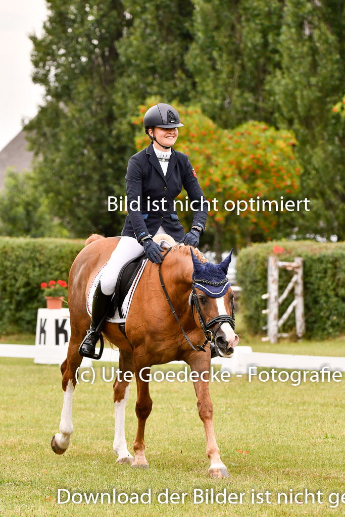 Goldene Schärpe Ponys in Hohenberg Krusemark 2024 | 12072024 Dressur _0867 