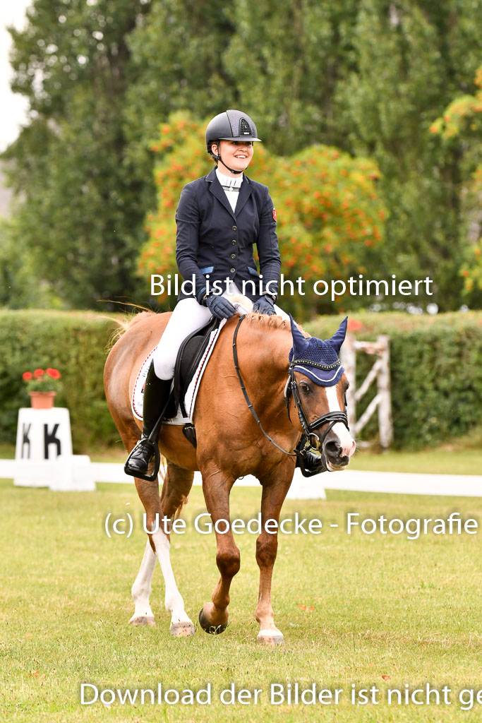 Goldene Schärpe Ponys in Hohenberg Krusemark 2024 | 12072024 Dressur _0868 