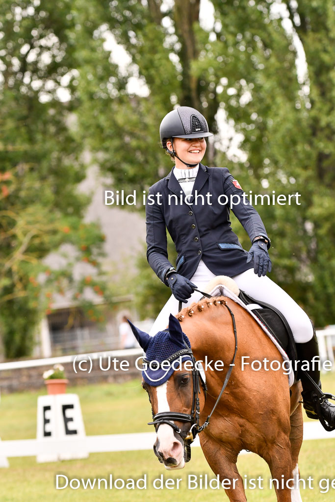 Goldene Schärpe Ponys in Hohenberg Krusemark 2024 | 12072024 Dressur _0870 