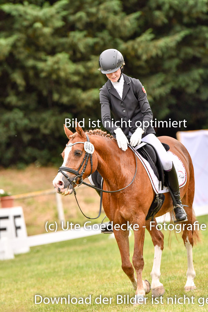 Goldene Schärpe Ponys in Hohenberg Krusemark 2024 | 12072024 Dressur _0872 