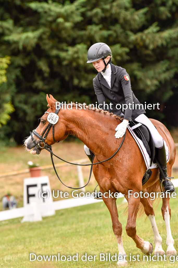 Goldene Schärpe Ponys in Hohenberg Krusemark 2024 | 12072024 Dressur _0873 