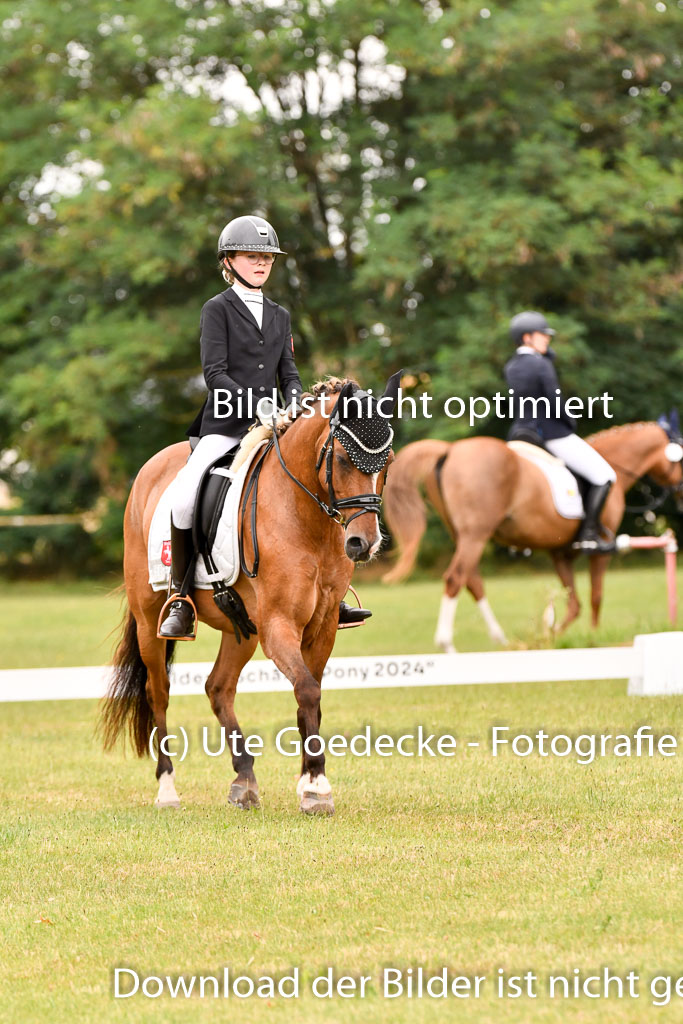 Goldene Schärpe Ponys in Hohenberg Krusemark 2024 | 12072024 Dressur _0874 