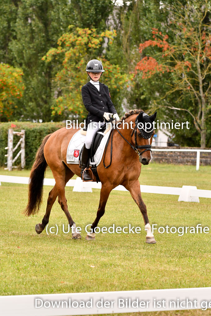 Goldene Schärpe Ponys in Hohenberg Krusemark 2024 | 12072024 Dressur _0876 