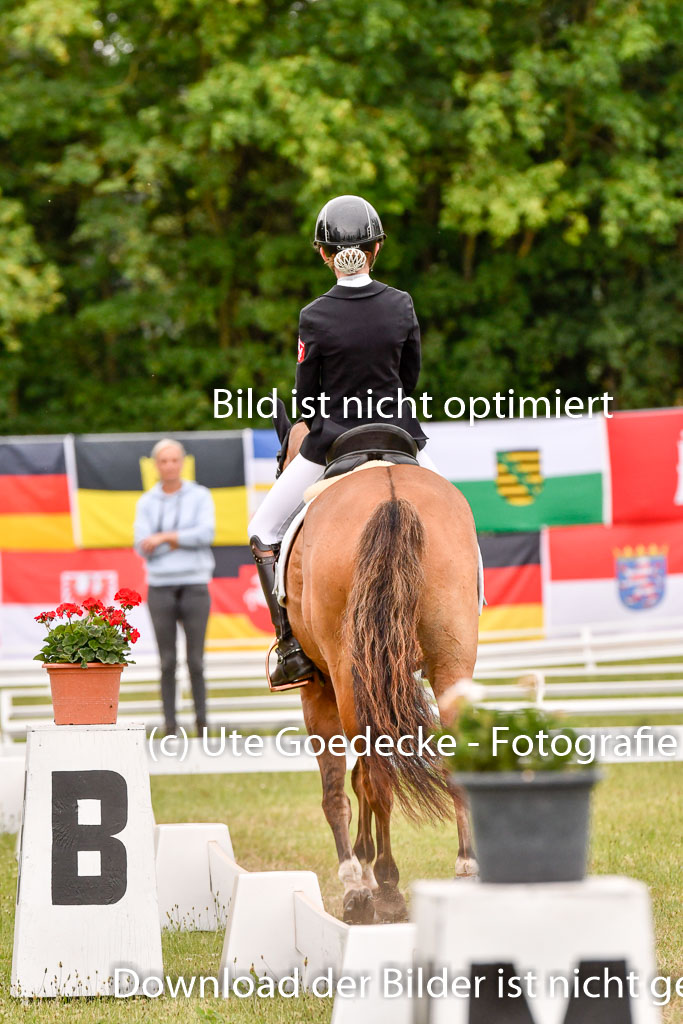 Goldene Schärpe Ponys in Hohenberg Krusemark 2024 | 12072024 Dressur _0877 