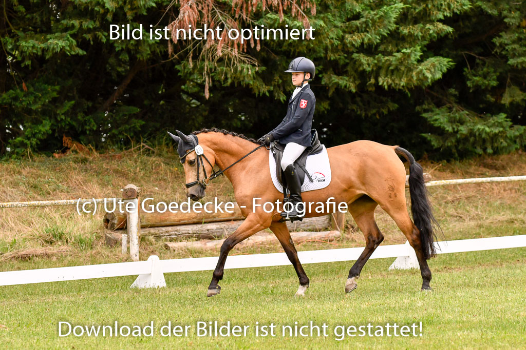 Goldene Schärpe Ponys in Hohenberg Krusemark 2024 | 12072024 Dressur _0880 