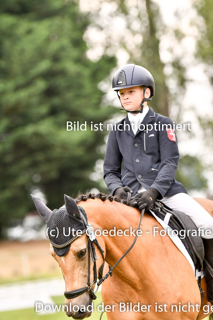 Goldene Schärpe Ponys in Hohenberg Krusemark 2024 | 12072024 Dressur _0881 