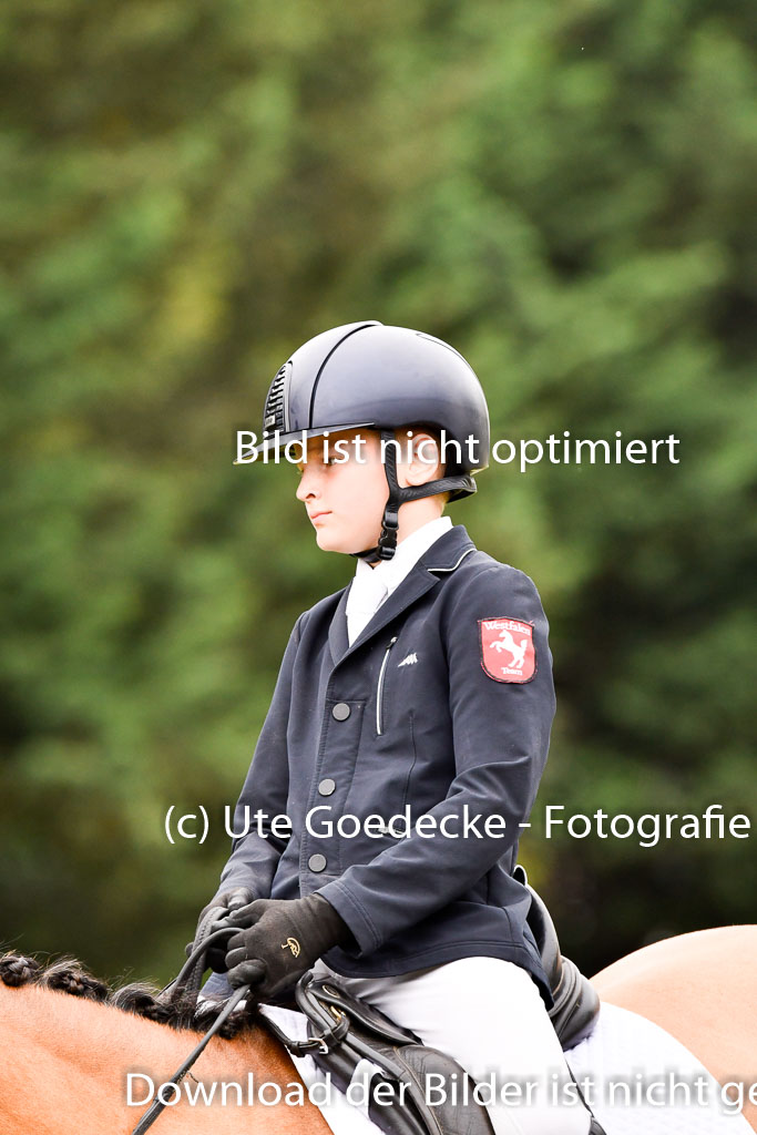 Goldene Schärpe Ponys in Hohenberg Krusemark 2024 | 12072024 Dressur _0882 