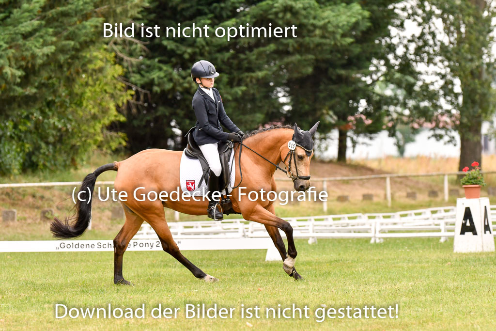 Goldene Schärpe Ponys in Hohenberg Krusemark 2024 | 12072024 Dressur _0884 