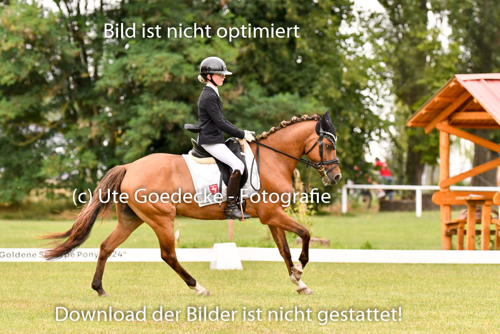 Goldene Schärpe Ponys in Hohenberg Krusemark 2024 | 12072024 Dressur _0885 