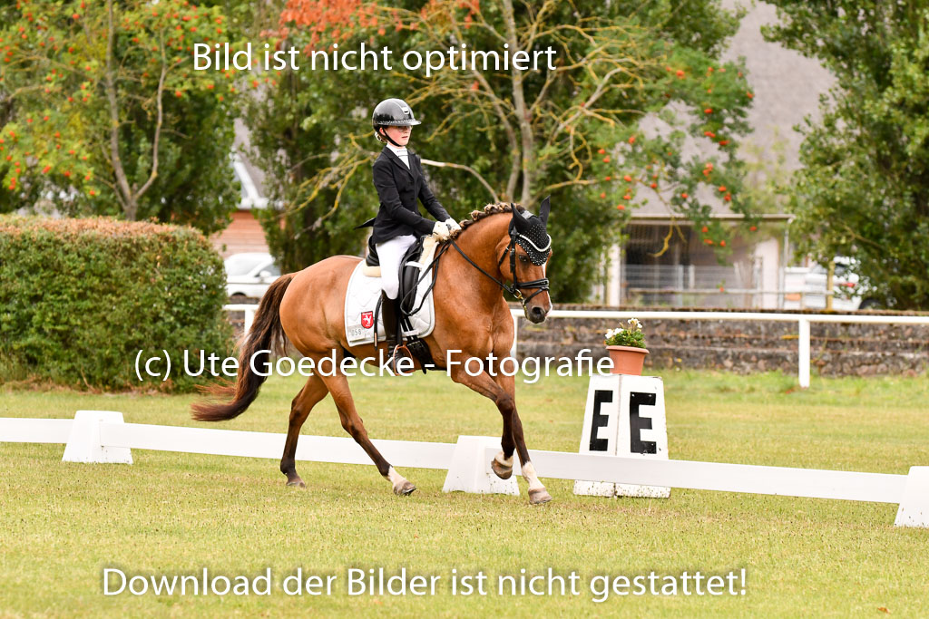 Goldene Schärpe Ponys in Hohenberg Krusemark 2024 | 12072024 Dressur _0888 